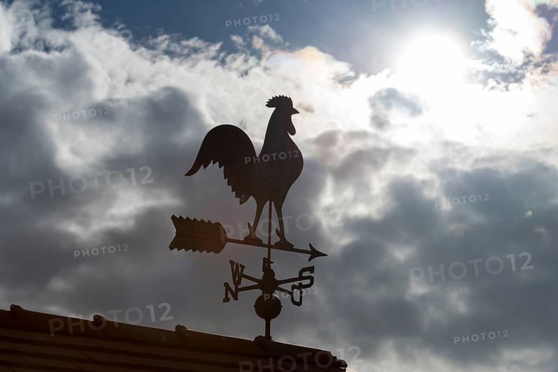 Sunlit weather vane in front of dramatic cloud formations, Baden-Württemberg, Germany