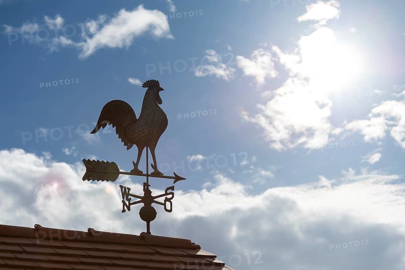 A weather vane on a roof in sunshine against a cloudy sky, Baden-Württemberg, Germany