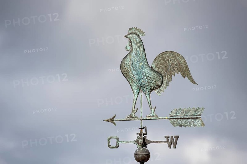 Close-up of a rooster weather vane against a cloudy sky, Baden-Württemberg, Germany