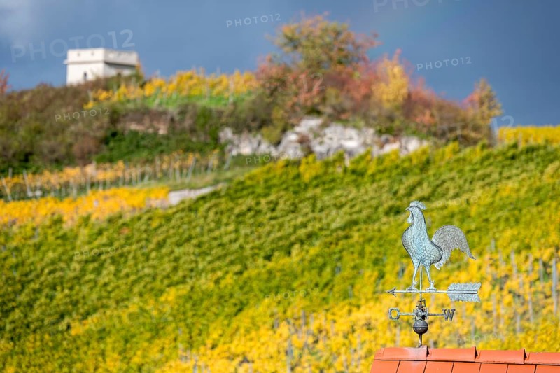 Weather vane on a roof in front of an autumnal vineyard and overcast sky, Baden-Württemberg, Germany