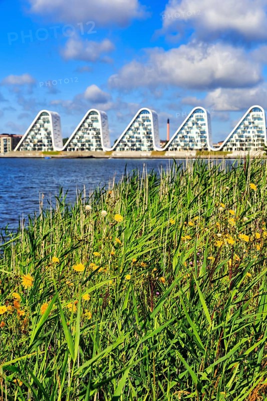 View over grasses and the shore of the fjord to the wave-shaped residential complex Bølgen, Die Welle, architect Henning Larsen, modern architecture, Vejle, Vejle Fjord, Jutland, Denmark