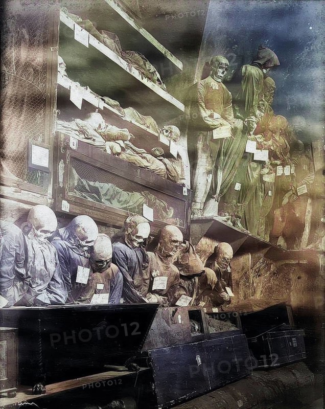 Capuchin Crypt, Le Catacombe dei Cappuccini, extensive crypt complex under the Capuchin monastery in Palermo and, with its natural mummies, one of the most famous burial sites in the world, Sicily, Italy, illustration, reproduction from a model from the 19th century. Authentic, file restored for optimal use, exact date of submission unknown, historical