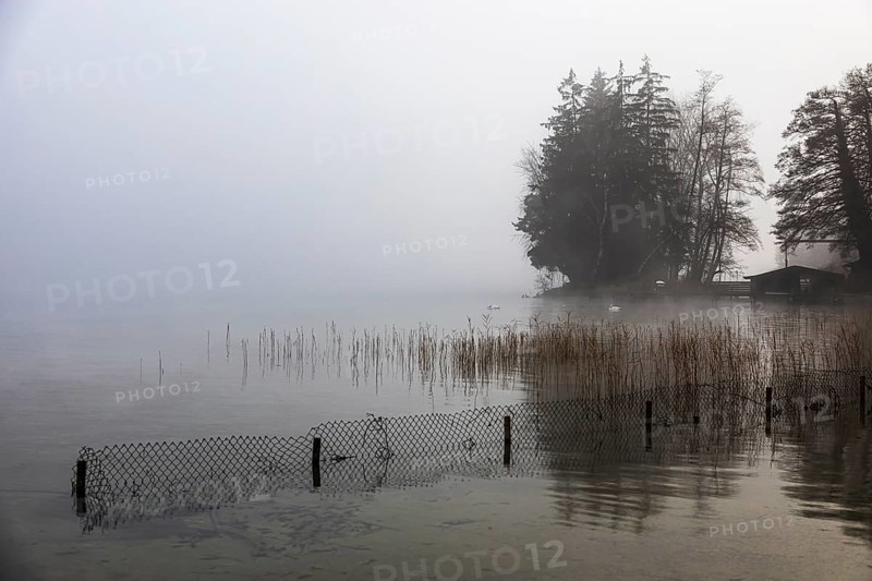 Reeds and fences in foggy Starnberger See, leaves and conifers in the back, Historisches Hotel La Villa, Niederpöcking, Upper Bavaria, Bavaria, Germany
