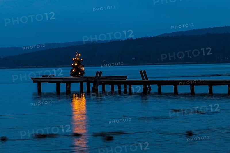 Illuminated Christmas tree at dawn, on a boat dock, Dießen am Lake Ammer, Upper Bavaria, Bavaria, Germany