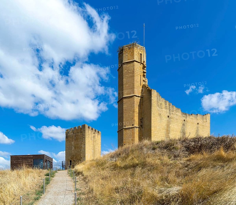 Castle and palace ruin in medieval village of Uncastillo, Cinco Villas, Zaragoza province, Aragon, Spain