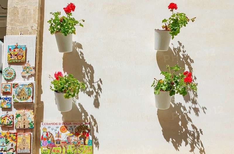 Flowers pots, Ragusa Ibla, Ragusa province, Sicily, Italy