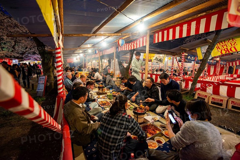 Cherry Blossom Festival, Hanami, Japanese eating grilled food at a long table, evening mood, Hirano Shrine, Kyoto, Japan