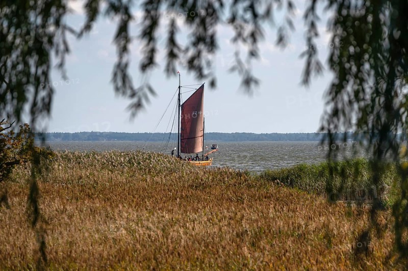 Zeesboot im Bodden, historic fishing boat, today for tourist ferries, Ahrenshoop, Darß, Mecklenburg-Western Pomerania, Germany