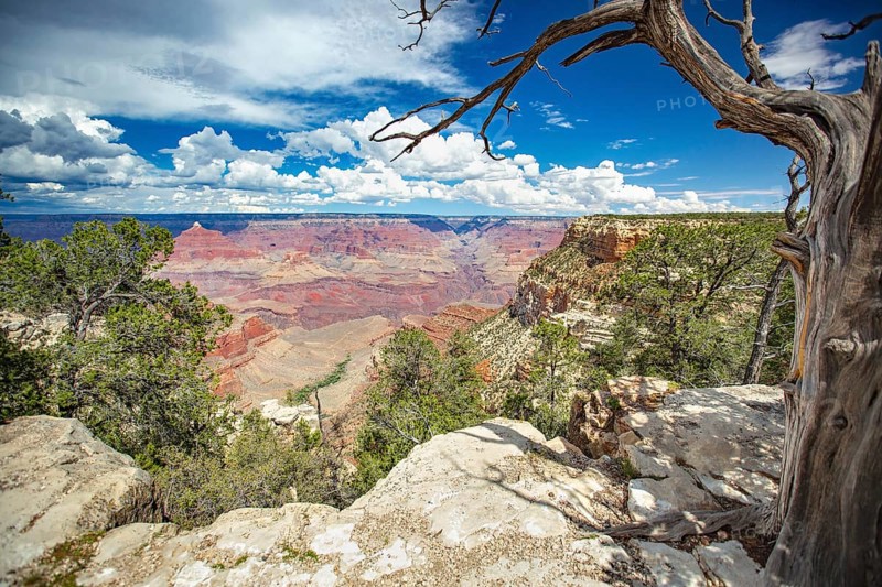Beautiful landscape of the grand canyon, arizona