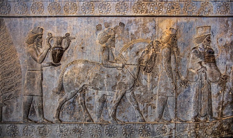 Relief detail of the delegation of peoples bringing gifts to Darius on the stairs of the Apadana Palace, Persepolis