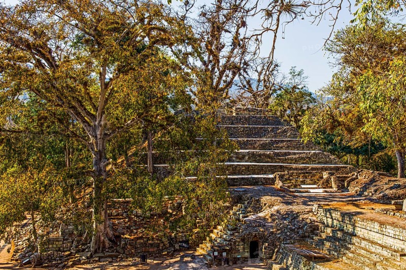 Temple 16 with entrance to the Rosalila Tunnel, Copan, Honduras