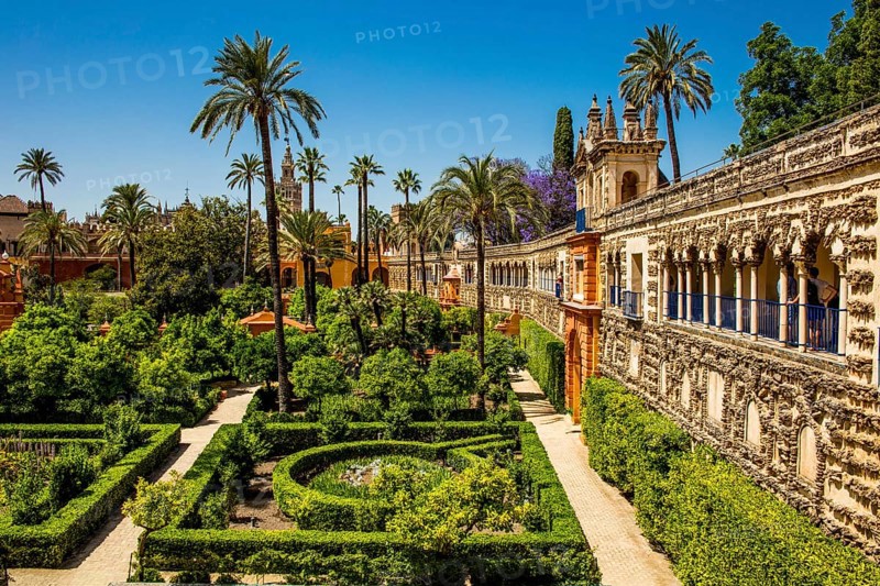 Alcázar Gardens, Seville, Seville, Andalucia, Spain