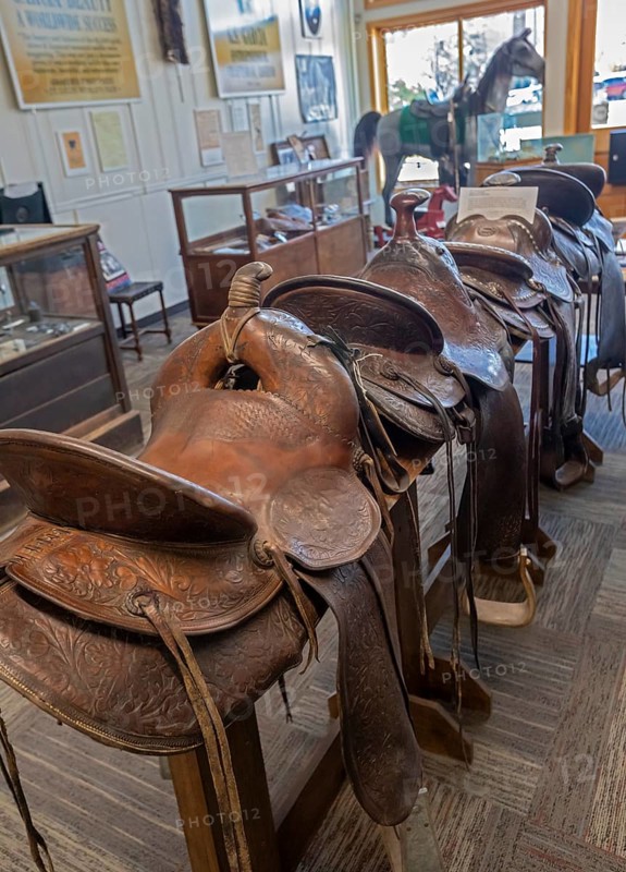 Elko, Nevada - Saddles on display at the Cowboy Arts & Gear Museum