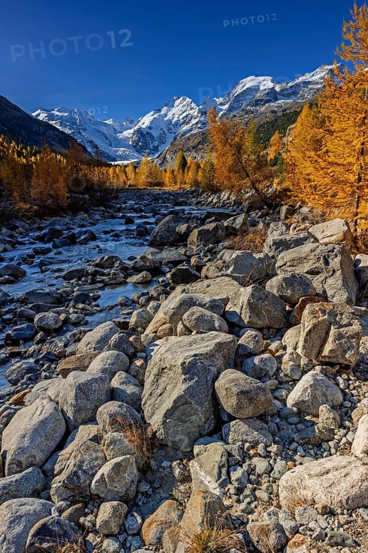 River, larch forest, autumn color, autumn, mountains, glaciers, morning light, Morteratsch Valley, Morteratsch Glacier, Engadin, Switzerland