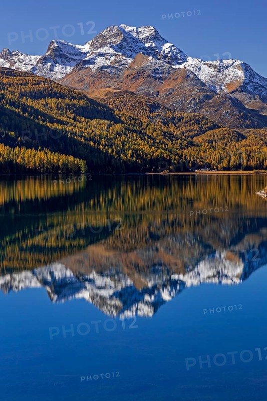 Mountain lake, reflection, mountains, larch forest, autumn discoloration, autumn, sunny, Silvaplana, Engadin, Switzerland