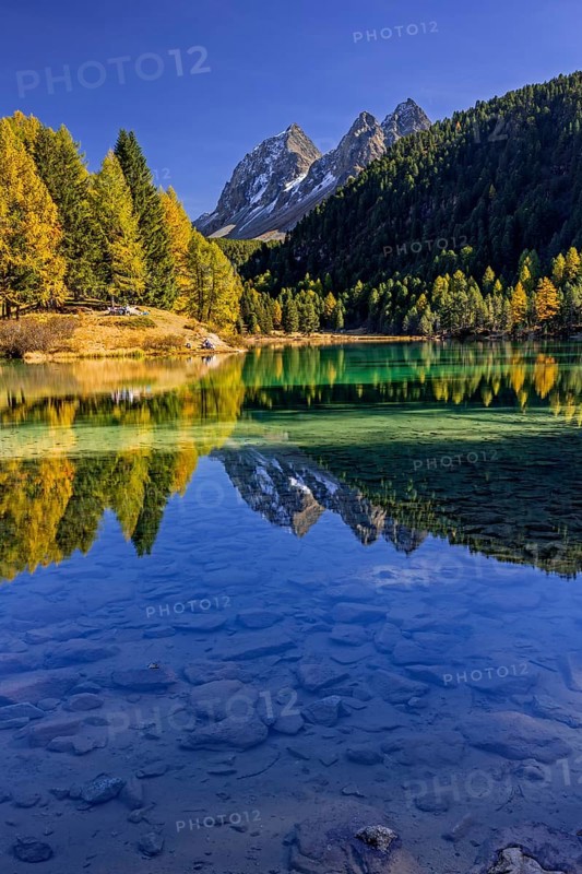Mountain lake, reflection, mountains, larch forest, autumn discoloration, autumn, sunny, Lake Palpuogna, Engadin, Switzerland