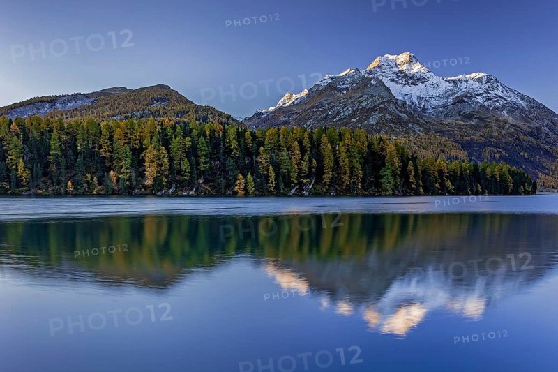 Mountain lake, reflection, mountains, larch forest, autumn discoloration, autumn, sunrise, Lake Sils, Engadin, Switzerland