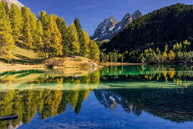 Mountain lake, reflection, mountains, larch forest, autumn discoloration, autumn, sunny, Lake Palpuogna, Engadin, Switzerland
