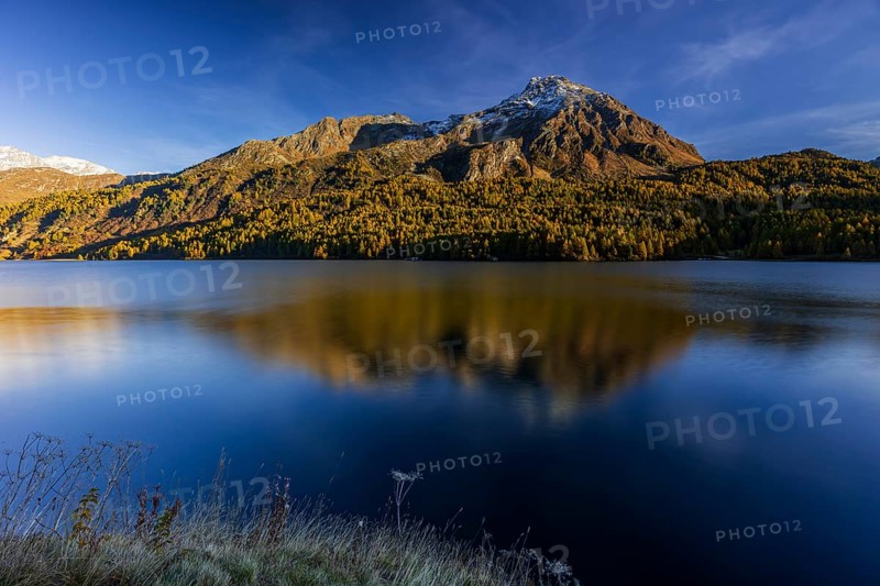 Mountains are reflected in lake, evening light, larch, autumn, autumn color, Lake Sils, Engadin, Switzerland