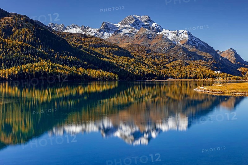 Mountain lake, reflection, mountains, larch forest, autumn discoloration, autumn, sunny, Silvaplana, Engadin, Switzerland