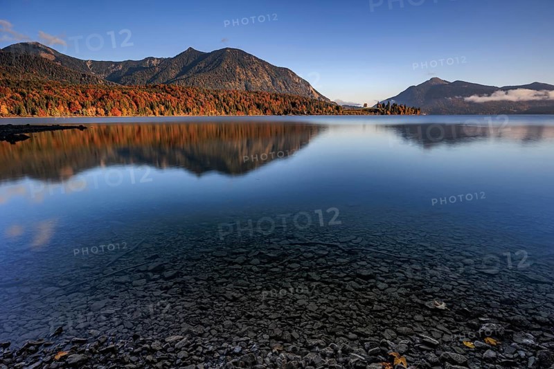 Mountain lake, reflection, morning light, mountains, shore, autumn, autumn color, Walchensee, Upper Bavaria, Bavaria, Germany