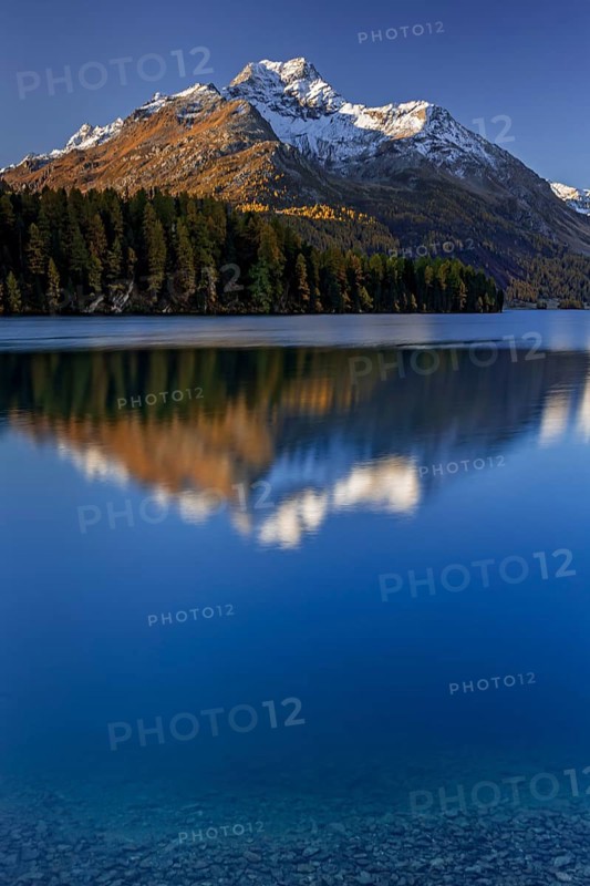 Mountain lake, reflection, mountains, larch forest, autumn discoloration, autumn, sunrise, Lake Sils, Engadin, Switzerland
