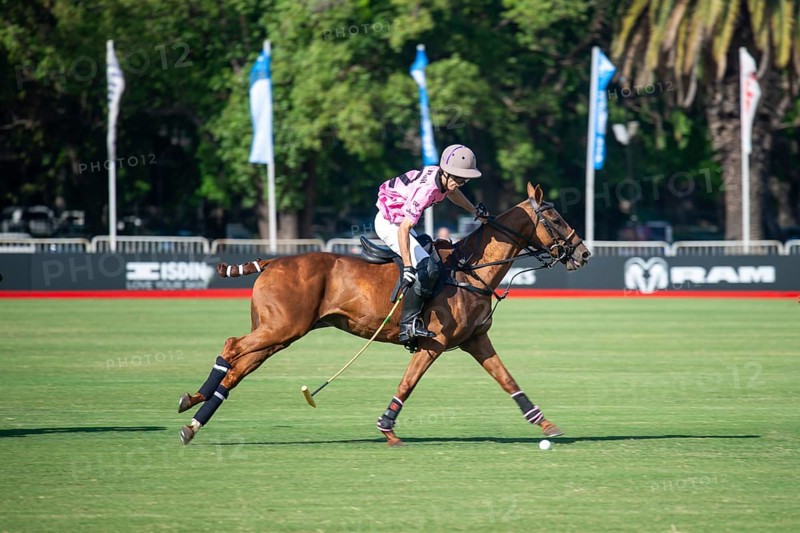 Scene at the 132nd Argentinean Open Polo Championship (Spanish Campeonato Argentino Abierto de Polo), player Antonio Heguy from the Ellerstina Indios Chapaleufú Vista team, Buenos Aires, Argentina
