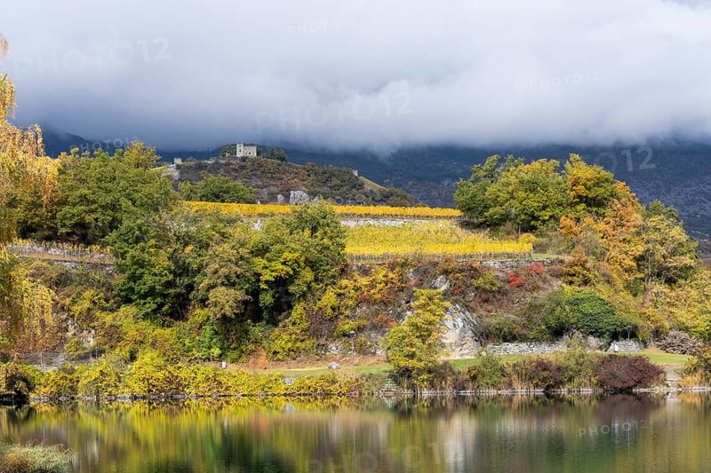 Terraced grape vineyards, steps up the hill in autumn colours in the Rhone Valley. Castle of Sierre stands on top of the hill. Colourful yellow orange image. Valais, Switzerland