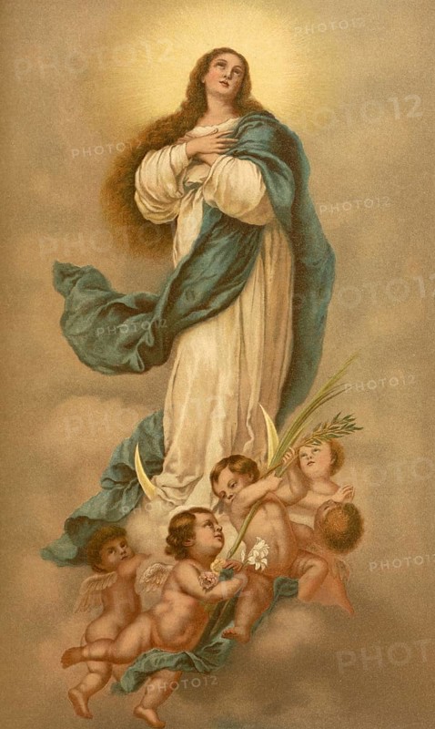 Biblical scene, Bible, The Immaculate Conception, a central dogma of the Catholic Church which states that Our Lady Mary was preserved from original sin from the very first moment of her existence, i.e. at her own conception by her parents, illustration, reproduction from a 19th-century model. Authentic, file restored for optimal use, exact date of submission unknown, historical