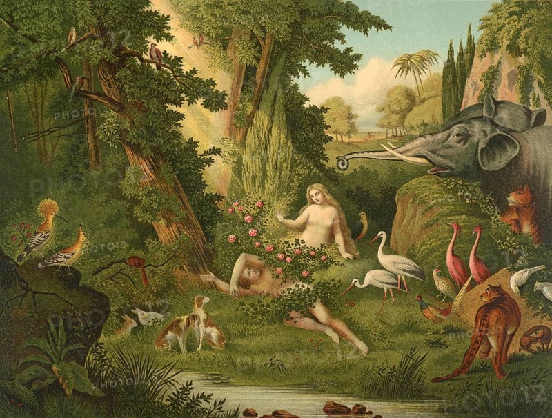 Biblical scene, Bible, The Creation of Eve, God created Eve from a rib of Adam after he let Adam fall into a deep sleep, illustration, reproduction from a 19th-century model. Authentic, file restored for optimal use, exact date of submission unknown, historical