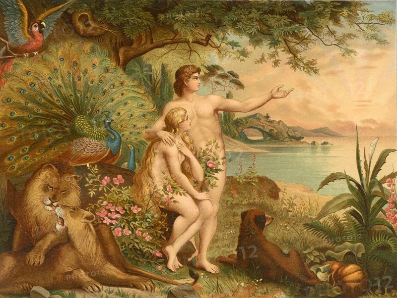 Biblical scene, Bible, Adam and Eve in paradise, illustration, reproduction from a 19th century model. Authentic, file restored for optimal use, exact date of submission unknown, historical