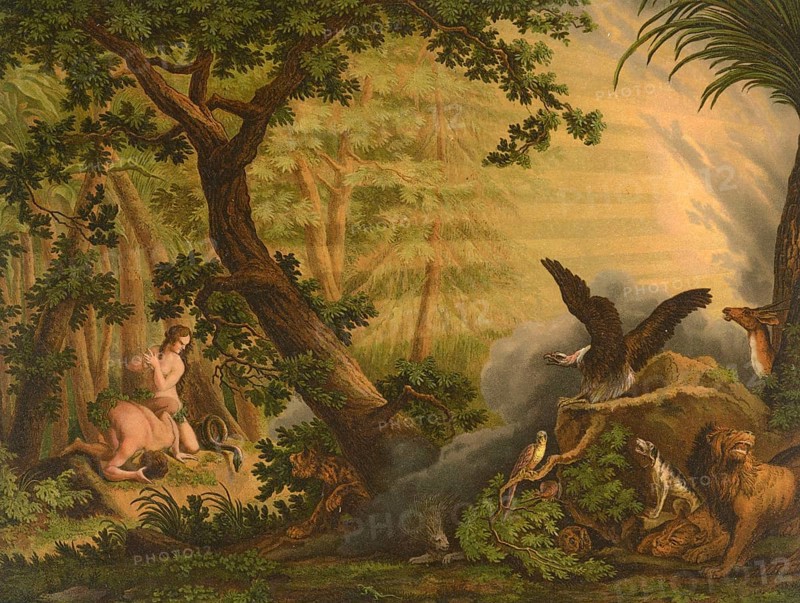 Biblical scene, Bible, Original Sin, a Christian concept that describes a state of separation from God into which every person is born as a descendant of Adam and Eve. It is not understood as a personal fault, but as a predisposition to selfishness and inner disorder that is passed on from generation to generation, illustration, reproduction from a 19th-century model. Authentic, file restored for optimal use, exact date of submission unknown, historical
