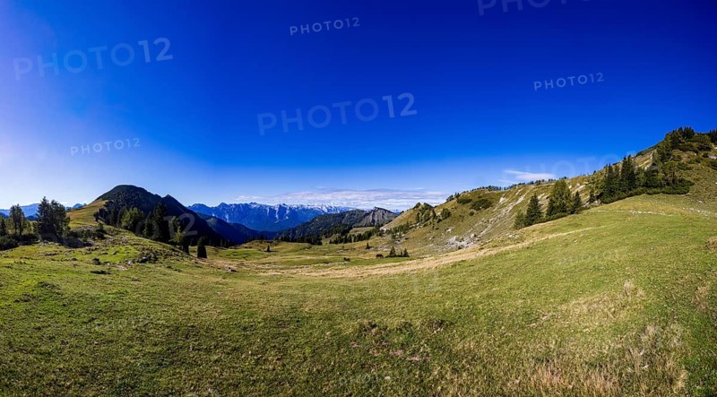 Hochzinkenalm, Postalm, Osterhorn Group, Salzkammergut, Province of Salzburg, Austria