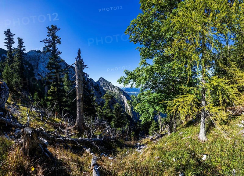 Mountain landscape on the way to Rettenkogel, Strobl, Postalm, Osterhorn Group, Salzkammergut, Province of Salzburg, Austria