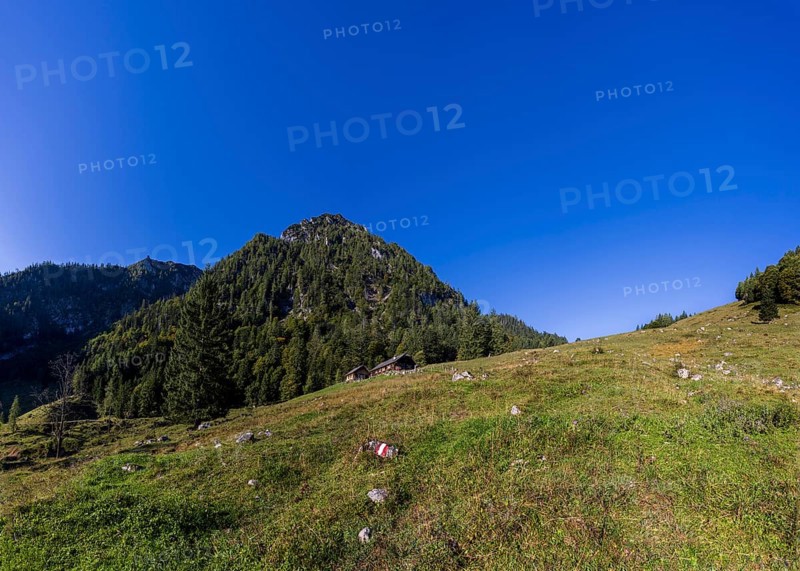 Sonntagskaralm on the way to Rettenkogel, Strobl, Postalm, Osterhorn Group, Salzkammergut, Province of Salzburg, Austria