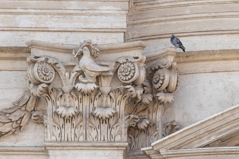 Feral dove (Columba livia) adult bird on a building with a peace dove bird sculture in the city of Rome, Italy