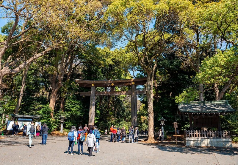 Kitasando Torii Grand Gate, Meiji Jingu Entrance, Meiji Shrine, Shinto Shrine, Yoyogi Park, Shibuya, Tokyo