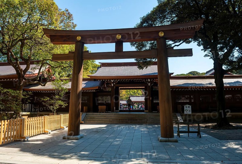 Torii at Meiji Jingu, Meiji Shrine, Shinto Shrine, Yoyogi Park, Shibuya, Tokyo