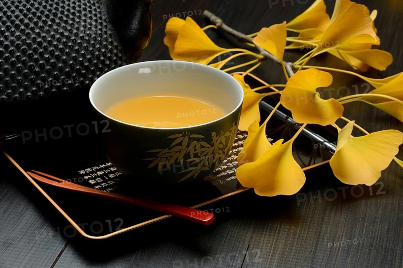 Ginkgo tea in tea bowl and ginkgo leaf, ginkgo biloba