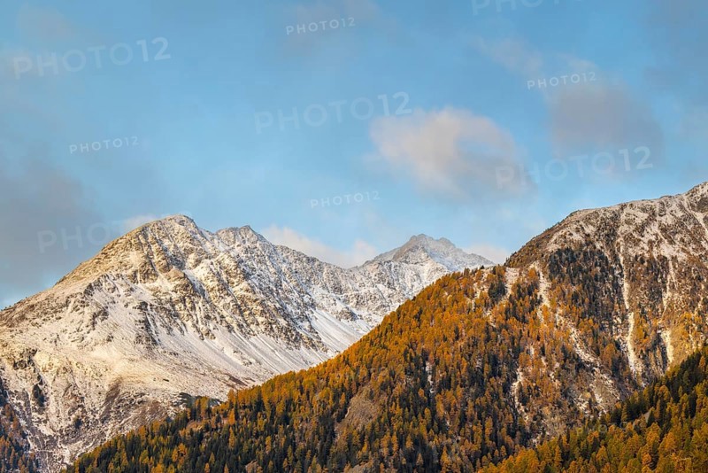 Mixed forest with larch trees (Larix) in autumn, mountain peaks with snow, autumn, Piz Chaste, Guarda, Engadin, Grisons, Switzerland