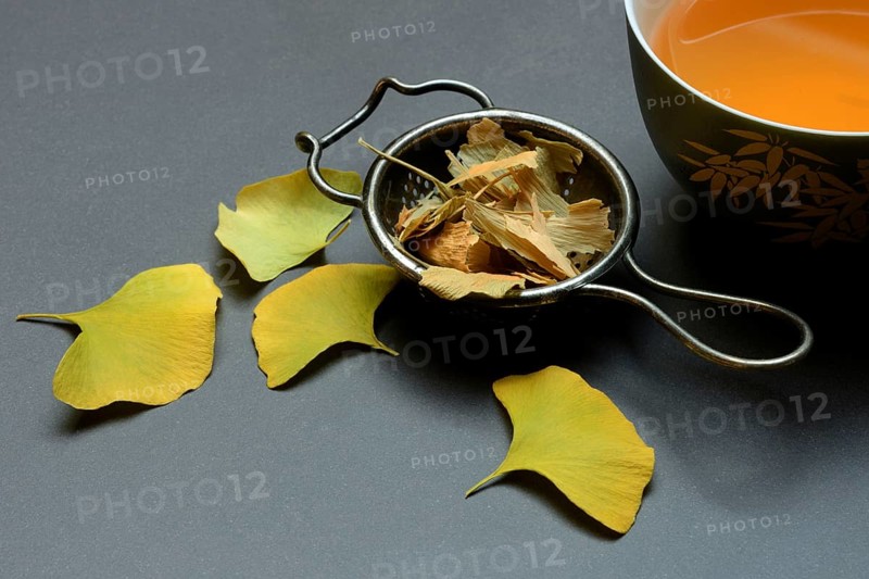 Ginkgo leaves in tea strainer and tea in bowl, ginkgo biloba
