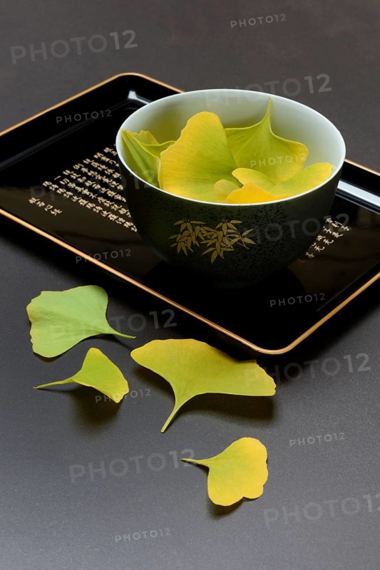 Ginkgo leaves in shell on tray, ginkgo biloba