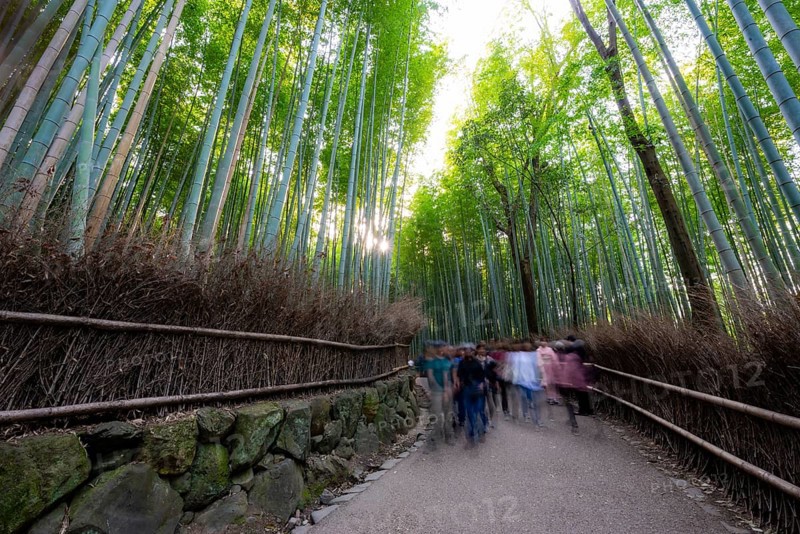 Visitors on their way through bamboo forest, long exposure, towering bamboo stems in Arashiyama bamboo forest, Kyoto, Japan