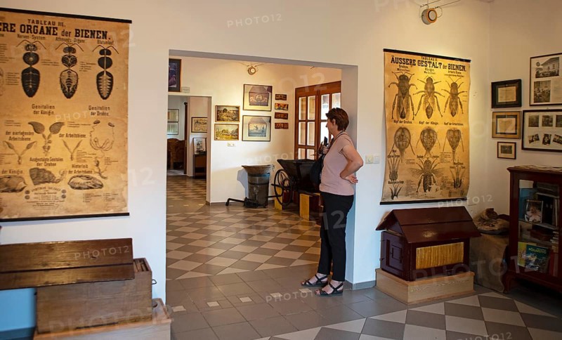 Beekeeping Museum in Sremski Karlovci, Vojvodina Province, Serbia