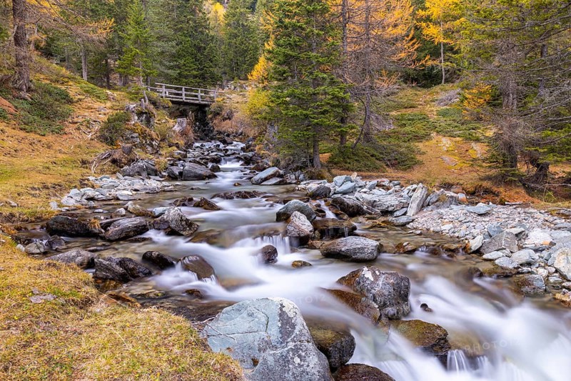 Mountain stream with wooden bridge, mixed forest, autumn, Pontresina, Bernina Pass, Engadin, Graubünden, Switzerland