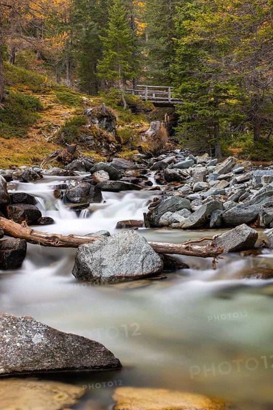 Mountain stream with wooden bridge, mixed forest, autumn, Pontresina, Bernina Pass, Engadin, Graubünden, Switzerland
