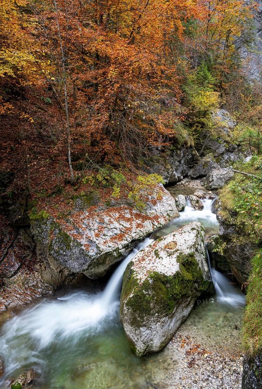 Stream in autumn in the Nothklamm, Gams, Palfau, Hieflau, Styria, Austria