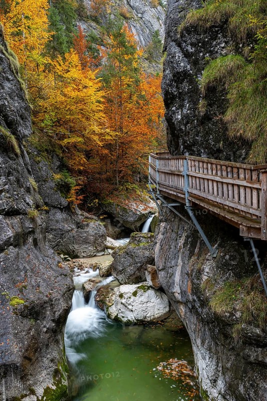 Holzsteg in der Nothklamm, autumn, Gams, Palfau, Hieflau, Styria, Austria