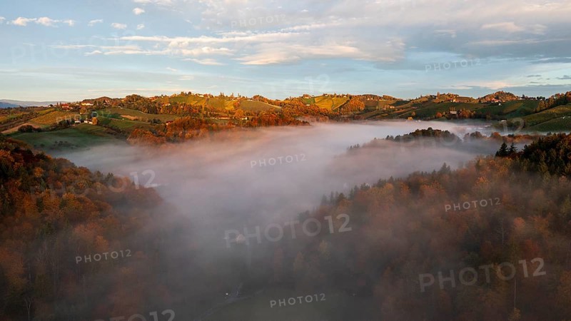 Aerial view, sunrise, typical landscape in autumn with vineyards, South Styrian hills, South Styrian wine route, Styria, Austria
