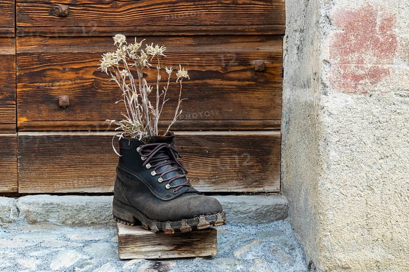Old hiking boot with edelweiss, decoration, Guarda, Engadin, Graubünden, Switzerland